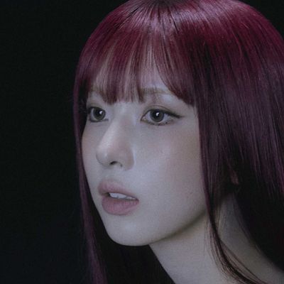 배이