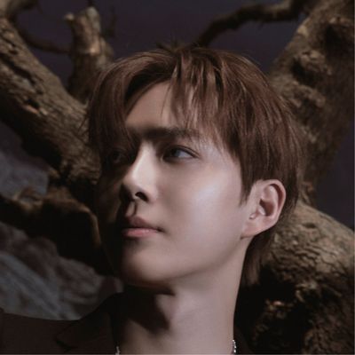 수호