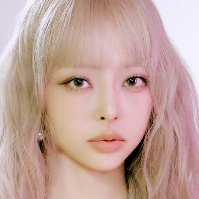 비비
